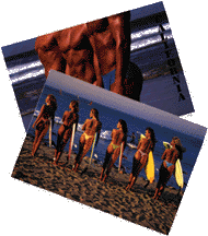 Cheesy Postcards